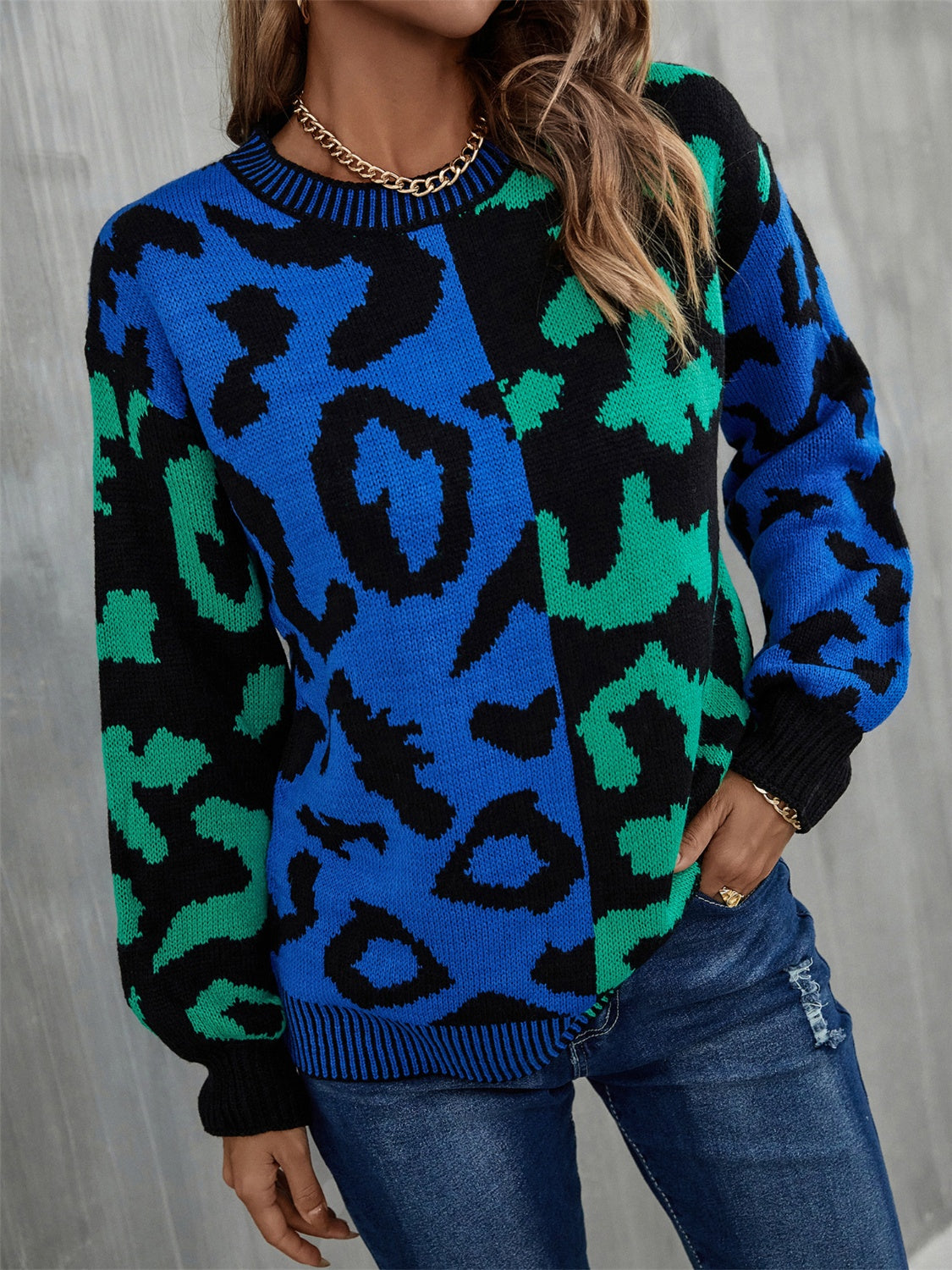 Women's Multi Color Leopard Crew Neck Long Sleeve Sweater