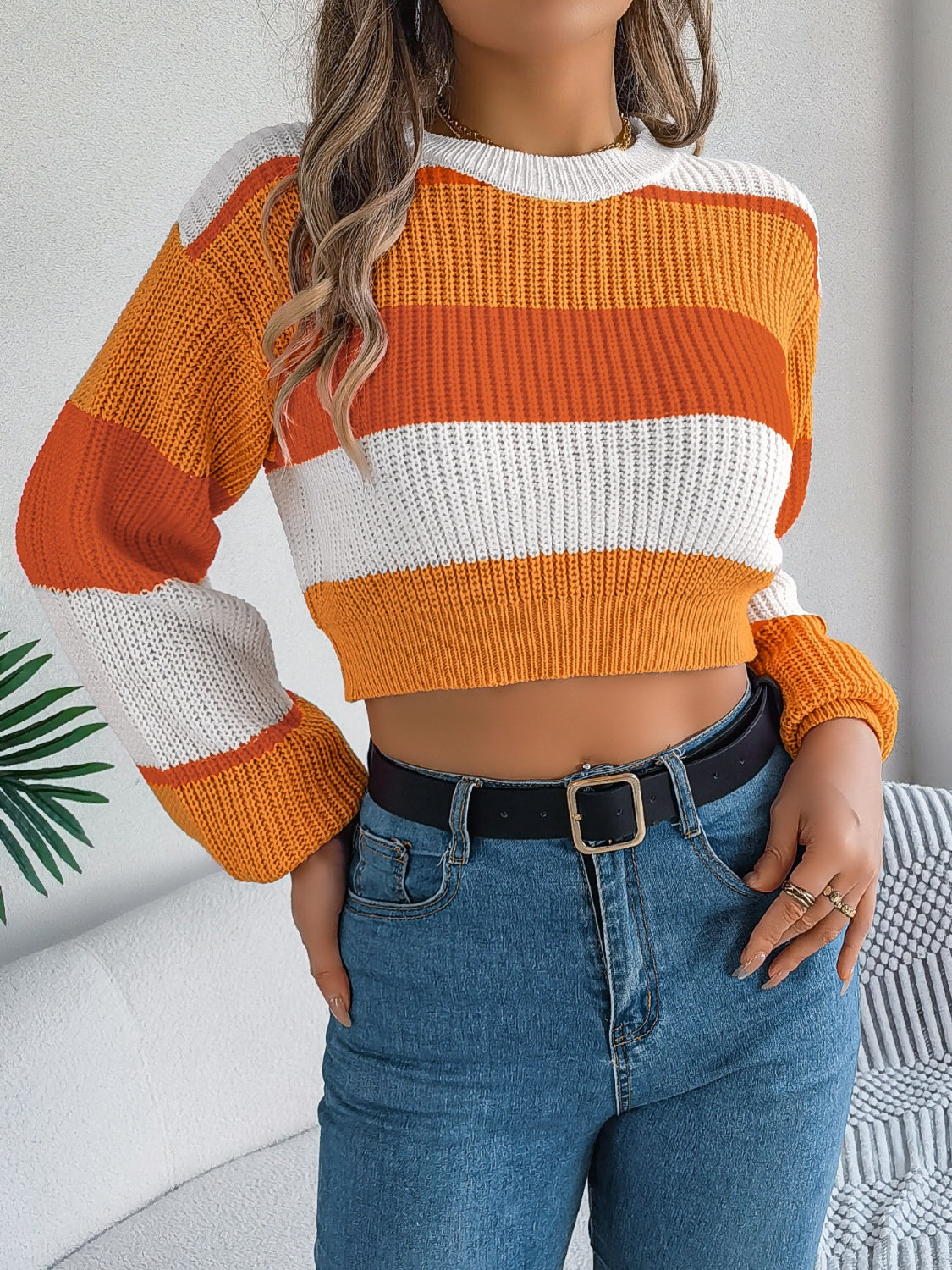 Women's Color Block Crew Neck Cropped Sweater