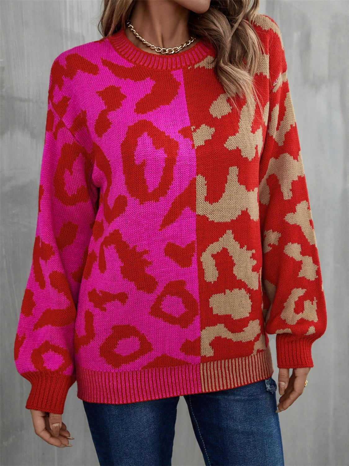 Women's Multi Color Leopard Crew Neck Long Sleeve Sweater